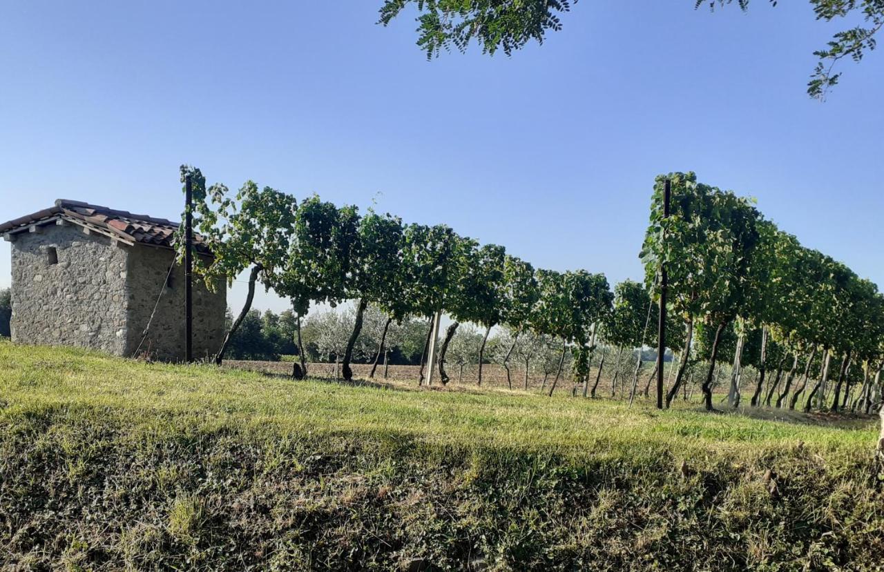 Vicolo Del Nido B&B Paderno Franciacorta Exterior photo